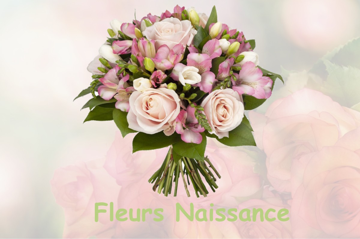 fleurs naissance LE-TOUVET