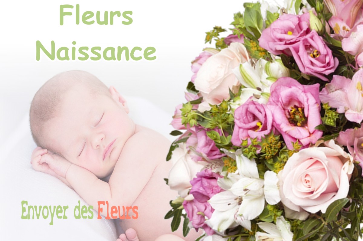 lIVRAISON FLEURS NAISSANCE à LE-TOUVET